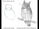 https://image.noelshack.com/fichiers/2016/27/1467643562-owl.jpg