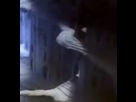 https://image.noelshack.com/fichiers/2016/27/1467750084-photo1.png