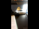 https://image.noelshack.com/fichiers/2016/27/1467883120-img-2016-07-06-15201880.png