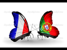 https://image.noelshack.com/fichiers/2016/27/1468167220-depositphotos-36295367-two-butterflies-with-flags-on.jpg