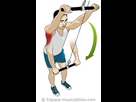 https://image.noelshack.com/fichiers/2016/27/1468168572-extension-bras-tendus.jpg