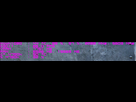 https://image.noelshack.com/fichiers/2016/28/1468487607-vram.png