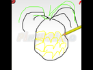 https://image.noelshack.com/fichiers/2016/28/1468709839-marco3.png
