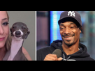 https://image.noelshack.com/fichiers/2016/28/1468784131-w-celebrity-look-alikes-animals-462-700.jpg