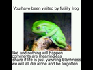 https://image.noelshack.com/fichiers/2016/29/1468815130-futilityfrog.jpg