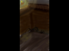 https://image.noelshack.com/fichiers/2016/29/1469127650-sketch-1469126996565.png