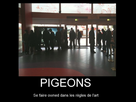 https://image.noelshack.com/fichiers/2016/29/1469186478-pigeon.png