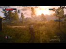https://image.noelshack.com/fichiers/2016/29/1469262089-witcher3-2016-07-20-09-46-02-85.png