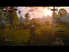 https://image.noelshack.com/fichiers/2016/29/1469262089-witcher3-2016-07-20-09-46-06-10.png