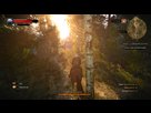 https://image.noelshack.com/fichiers/2016/29/1469262090-witcher3-2016-07-20-08-26-45-73.png
