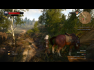 https://image.noelshack.com/fichiers/2016/29/1469262091-witcher3-2016-07-20-08-21-52-79.png