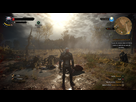 https://image.noelshack.com/fichiers/2016/29/1469262093-witcher3-2016-07-20-09-32-43-86.png
