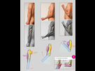 https://image.noelshack.com/fichiers/2016/29/1469381179-anatomy.png