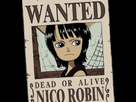 https://image.noelshack.com/fichiers/2016/30/1469469071-robin-s-first-bounty2.png