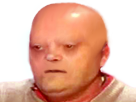 https://image.noelshack.com/fichiers/2016/30/1469484696-risitaschimio.png