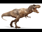 https://image.noelshack.com/fichiers/2016/30/1469624087-tyrannosaurus-rex-detail-header.png