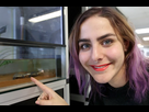 https://image.noelshack.com/fichiers/2016/30/1469800621-marion-seclin-vivarium-video1.jpg