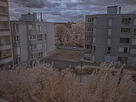 https://image.noelshack.com/fichiers/2016/30/1469892408-p7300223-3b.jpg