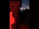 https://image.noelshack.com/fichiers/2016/30/1469993039-dscf8485.jpg