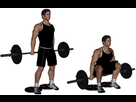 https://image.noelshack.com/fichiers/2016/31/1470139866-barbell-hack-squat.jpg