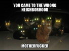 https://image.noelshack.com/fichiers/2016/31/1470349714-b942.png