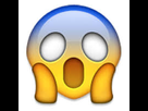 https://image.noelshack.com/fichiers/2016/31/1470420133-emojichoque.jpg