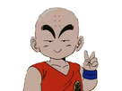 https://image.noelshack.com/fichiers/2016/31/1470429766-1aakrilin.png