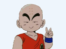 https://image.noelshack.com/fichiers/2016/31/1470429927-1aakrilin2.png