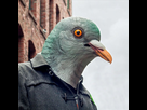 https://image.noelshack.com/fichiers/2016/31/1470446704-masque-tete-de-pigeon.jpg