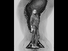 https://image.noelshack.com/fichiers/2016/32/1471085303-sitara.png