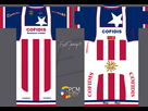 https://image.noelshack.com/fichiers/2016/32/1471091866-usa-maillot-champion.png