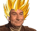 https://image.noelshack.com/fichiers/2016/33/1471255684-issouvegeta.png