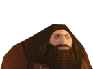 https://image.noelshack.com/fichiers/2016/33/1471351462-hagrdstickerorq.png