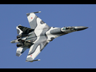 https://image.noelshack.com/fichiers/2016/34/1472143089-sukhoi-su-27skm-at-maks-2005-airshow.jpg