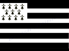 https://image.noelshack.com/fichiers/2016/35/1472472425-1271696529mon-drapeau-breton-oeillets.png