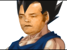 https://image.noelshack.com/fichiers/2016/35/1472492747-risitasvegeta.png