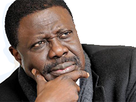https://image.noelshack.com/fichiers/2016/35/1472568516-diouf3.png