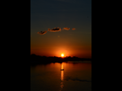 https://image.noelshack.com/fichiers/2016/35/1472602815-dsc-2530.jpg