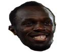 https://image.noelshack.com/fichiers/2016/35/1472765431-bolt-sourire.jpg