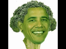 https://image.noelshack.com/fichiers/2016/35/1472827880-broco-bama.jpg