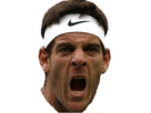 https://image.noelshack.com/fichiers/2016/35/1472929595-stickerdelpotro2.png