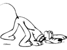 https://image.noelshack.com/fichiers/2016/36/1473110034-pluto-renifle-une-piste.gif