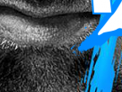 https://image.noelshack.com/fichiers/2016/36/1473173125-wwebacklash19.png