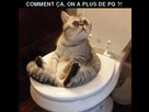https://image.noelshack.com/fichiers/2016/37/1473720889-148-n.jpg