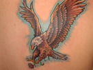 https://image.noelshack.com/fichiers/2016/37/1473849143-eagle-tattoo-colored.jpg