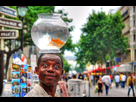 https://image.noelshack.com/fichiers/2016/37/1473873704-537997416-fishbowl.jpg