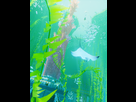https://image.noelshack.com/fichiers/2016/37/1473968698-raycast2.png