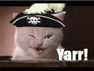 https://image.noelshack.com/fichiers/2016/38/1474722137-pirate-cat-a0e90e675f8f653eb05cddd390435823.jpg