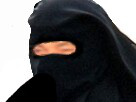 https://image.noelshack.com/fichiers/2016/38/1474752377-1471183873-risitas-163.png