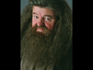 https://image.noelshack.com/fichiers/2016/38/1474822338-robbie-coltrane-rubeus-hagrid.jpg
